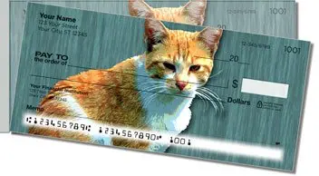 Alley Cat Side Tear Checks