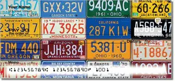 Americana License Plate Checks