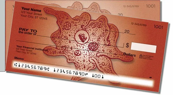 Amoeba Side Tear Personal Checks