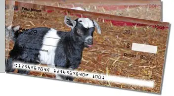 Baby Goat Side Tear Design Checks