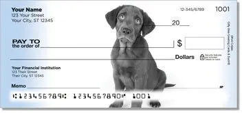 Black Lab Pup Checks