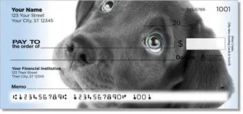 Black Lab Pup Design Checks