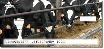 Dairy Cow Design Checks