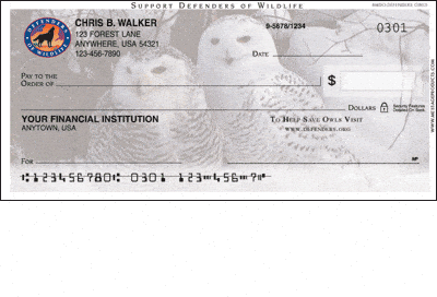 Defenders Owls Personal Checks