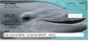 Dolphin Design Checks