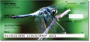Dragonfly Checks