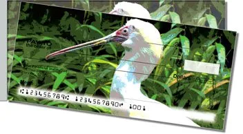 Exotic Bird Side Tear Checks