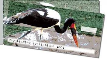 Exotic Bird Side Tear Design Checks