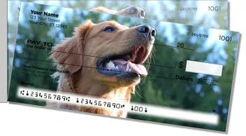 Golden Retriever Side Tear Design Checks
