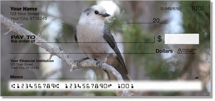 Gray Jay Bird Personal Checks