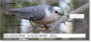 Gray Jay Bird Personalized Checks