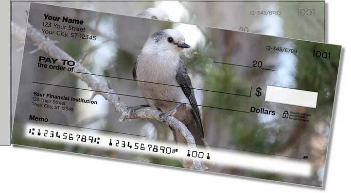 Gray Jay Bird Side Tear Personal Checks
