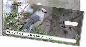 Gray Jay Bird Side Tear Design Checks