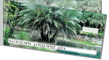 Palm Tree Side Tear Design Checks