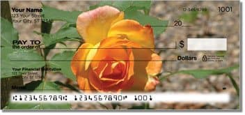 Rose Checks